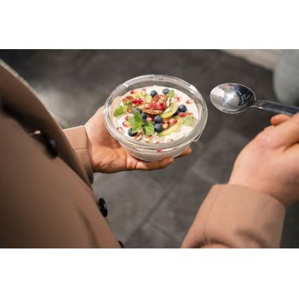 Tefal - Δοχείο τροφίμων 0,6 l MSEAL GLASS κόκκινο/γυαλί