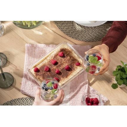 Tefal - Δοχείο τροφίμων 2 l MSEAL GLASS κόκκινο/γυαλί