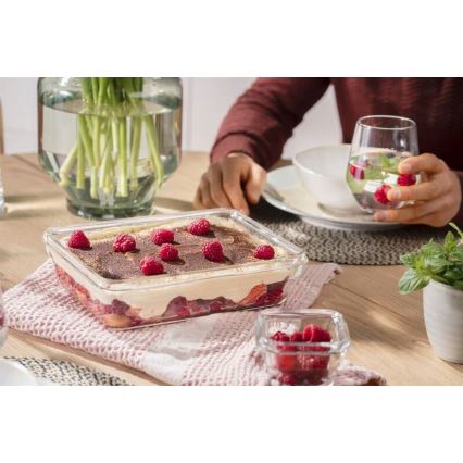 Tefal - Δοχείο τροφίμων 3 l MSEAL GLASS κόκκινο/γυαλί