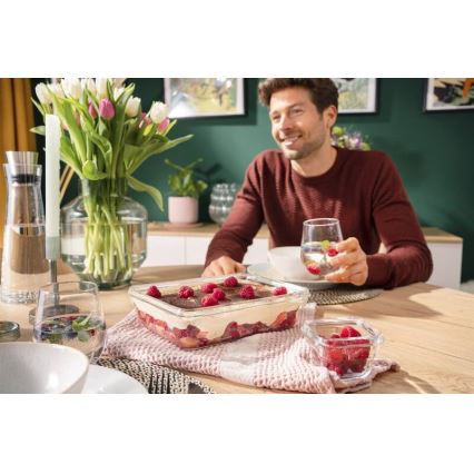 Tefal - Δοχείο τροφίμων 3 l MSEAL GLASS κόκκινο/γυαλί