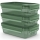 Tefal - ΣΕΤ 3x Food container 0,8 l MASTER SEAL ECO πράσινο
