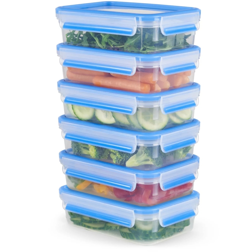 Tefal - ΣΕΤ 6x Food container 0,8 l MASTER SEAL FRESH μπλε