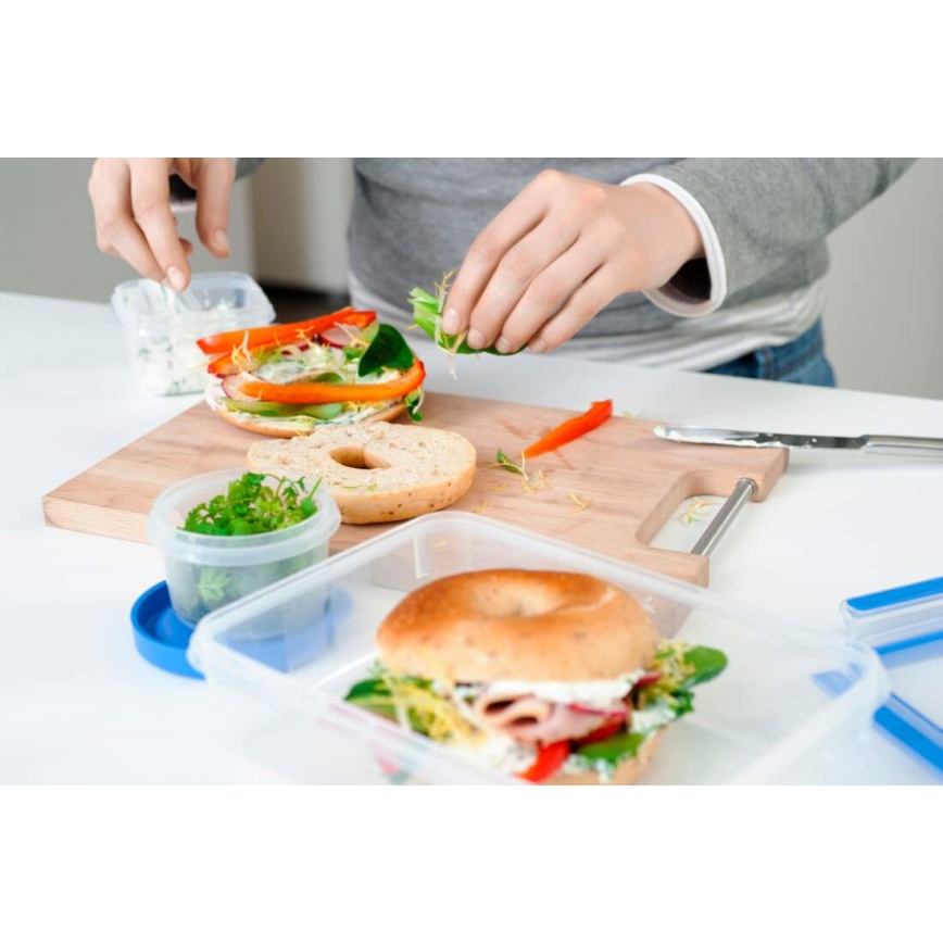 Tefal - Σετ of food containers 5 τμχ MASTER SEAL FRESH μπλε