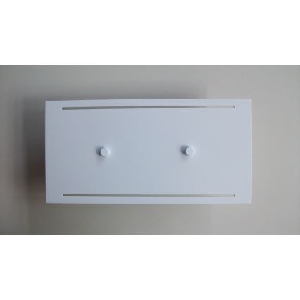 Telefunken 307806TF - Επιτοίχιο φωτιστικό εξωτερικού χώρου LED 2xLED/3,5W/230V IP44 λευκό