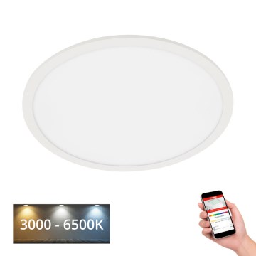 Telefunken 310706TF - LED RGB dimmable φωτιστικό οροφής LED/24W/230V 3000-6500K Wi-Fi Tuya