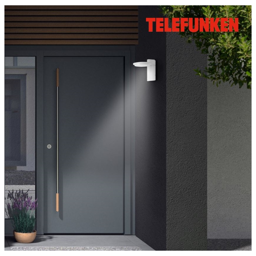 Telefunken 312406TF - Επιτοίχιο φωτιστικό εξωτερικού χώρου LED LED/10W/230V IP44