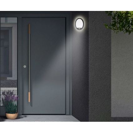 Telefunken 313705TF - Εξωτερικό επιτοίχιο φωτιστικό LED με αισθητήρα LED/15W/230V IP44