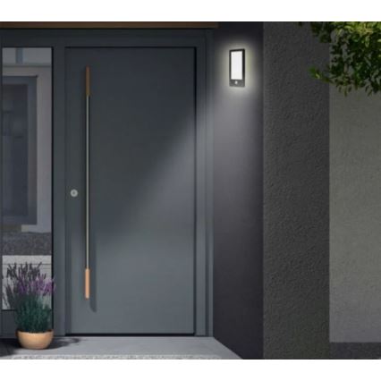 Telefunken 313905TF - Εξωτερικό επιτοίχιο φωτιστικό LED με αισθητήρα LED/16W/230V IP44