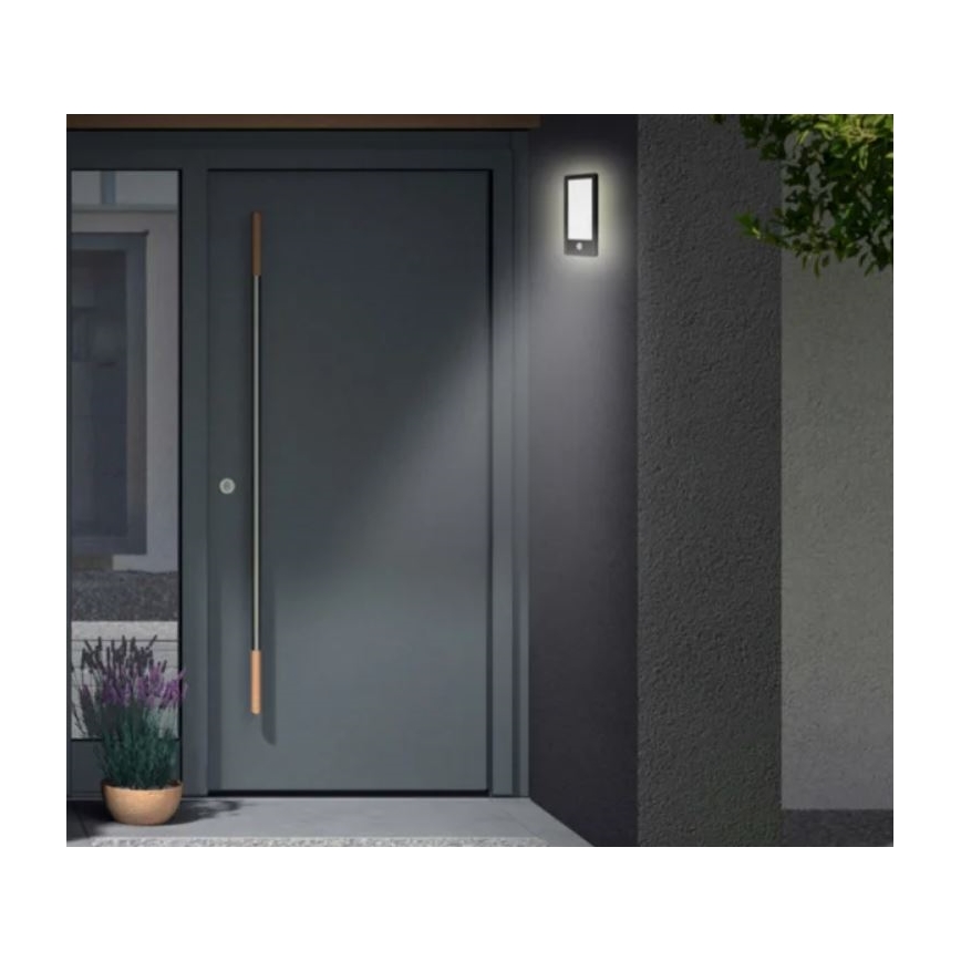 Telefunken 313905TF - Εξωτερικό επιτοίχιο φωτιστικό LED με αισθητήρα LED/16W/230V IP44