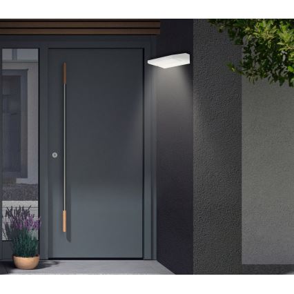 Telefunken - Επιτοίχιο φωτιστικό εξωτερικού χώρου LED/10W/230V IP44 λευκό