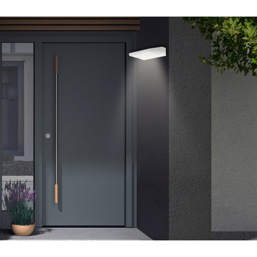 Telefunken - Επιτοίχιο φωτιστικό εξωτερικού χώρου LED/10W/230V IP44 λευκό