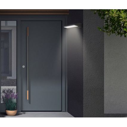 Telefunken - Επιτοίχιο φωτιστικό εξωτερικού χώρου LED/10W/230V IP44 μαύρο