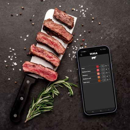 TESLA Electronics Cook - Ψηφιακό θερμόμετρο κρέατος με ανιχνευτή 0-400 °C 2xAA IP65