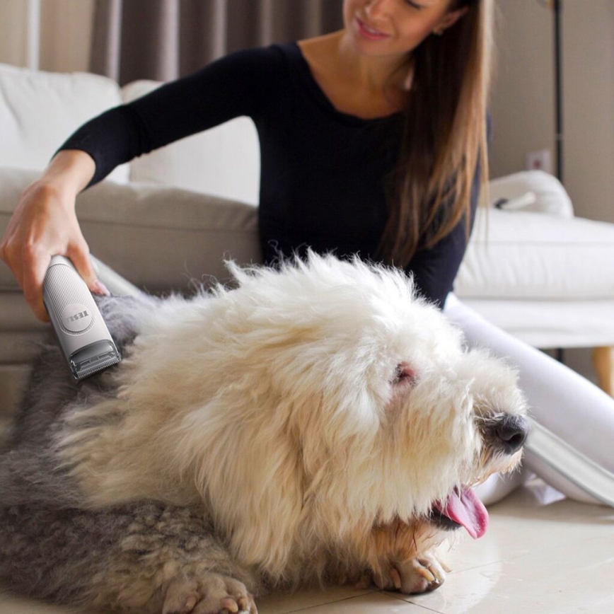 TESLA Electronics PetCare - Σετ περιποίησης κατοικίδιων 300W/230V