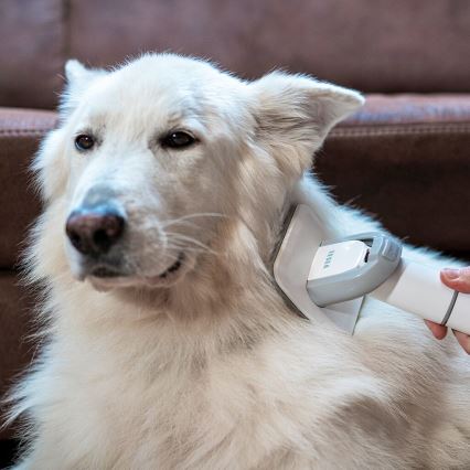 TESLA Electronics PetCare - Σετ περιποίησης κατοικίδιων 300W/230V