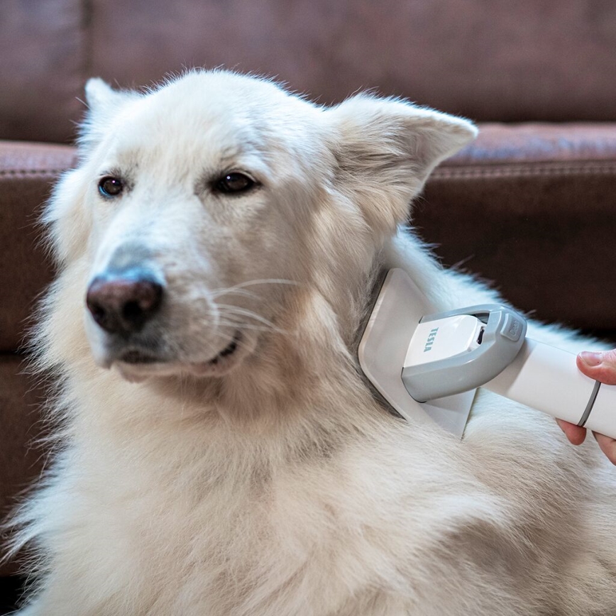 TESLA Electronics PetCare - Σετ περιποίησης κατοικίδιων 300W/230V