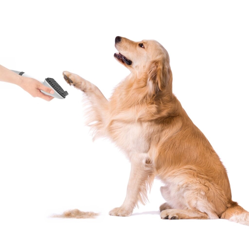 TESLA Electronics PetCare - Σετ περιποίησης κατοικίδιων 300W/230V