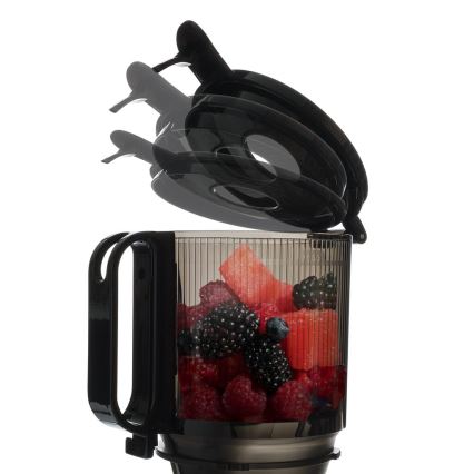 TESLA Electronics SlowJuicer Deluxe - Low-speed juicer 250W/230V ανοξείδωτο ατσάλι/μαύρο