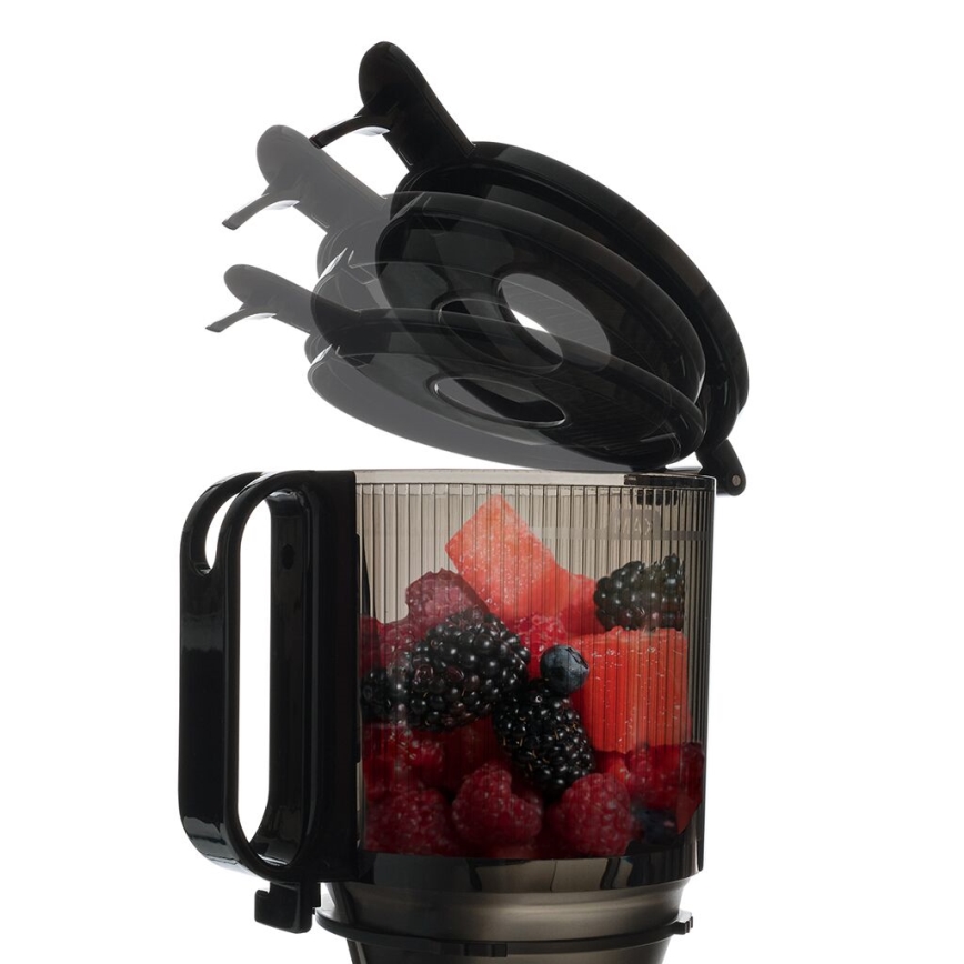 TESLA Electronics SlowJuicer Deluxe - Low-speed juicer 250W/230V ανοξείδωτο ατσάλι/μαύρο