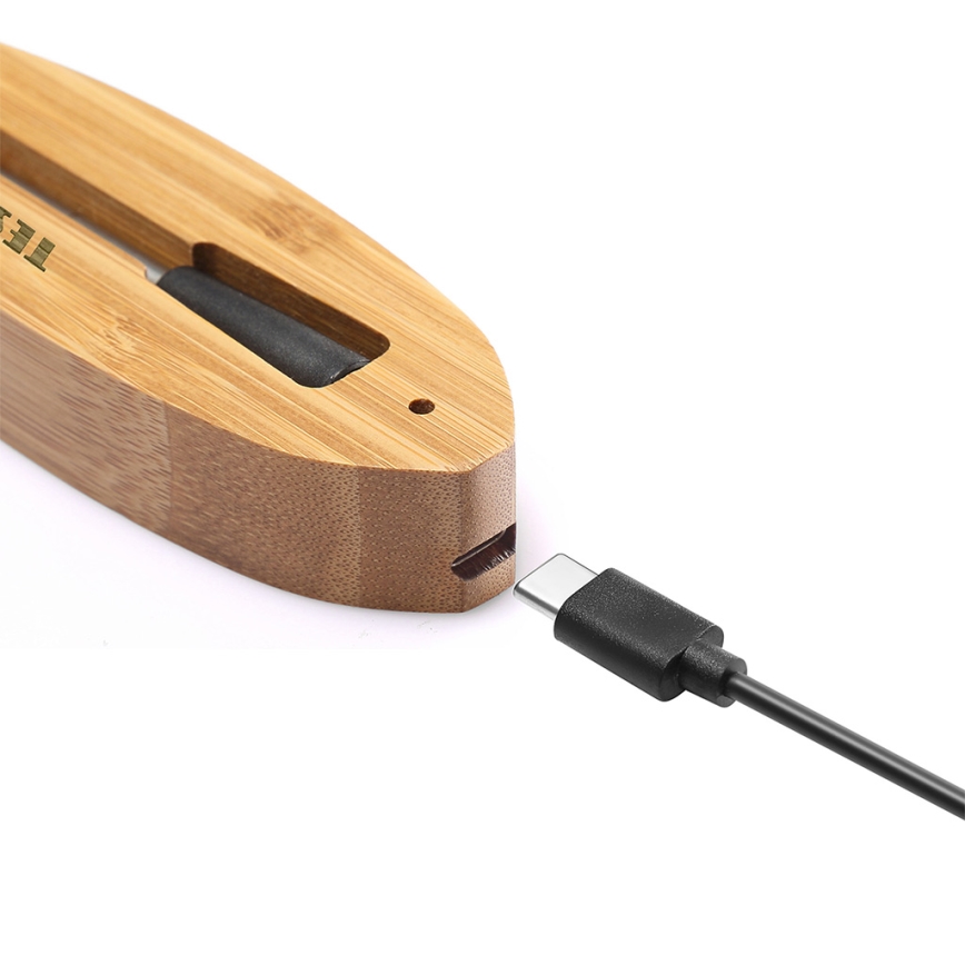 TESLA Electronics - Έξυπνο θερμόμετρο κρέατος με μια βάση φόρτισης 0-300 °C 5V IP67