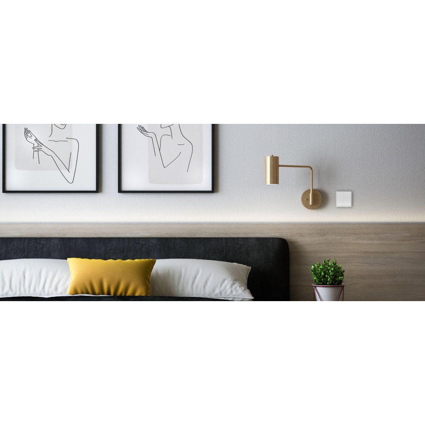 TESLA Smart - Έξυπνος ασύρματος διακόπτης οικίας 2P 1xCR2430 ZigBee