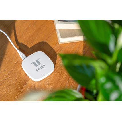 TESLA Smart - Έξυπνη κεντρική πύλη Smart Zigbee Wi-Fi