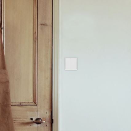 TESLA Smart - Έξυπνος διακόπτης οικιακός 2P 230V Wi-Fi