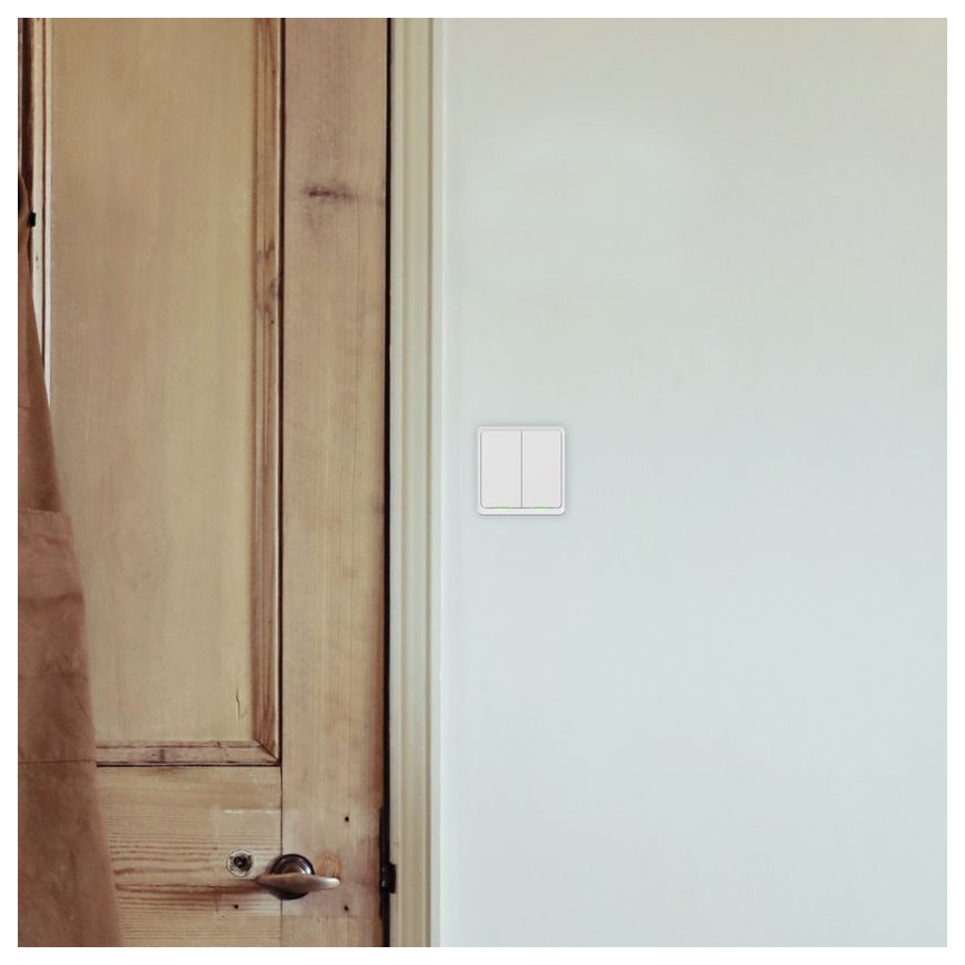 TESLA Smart - Έξυπνος διακόπτης οικιακός 2P 230V Wi-Fi