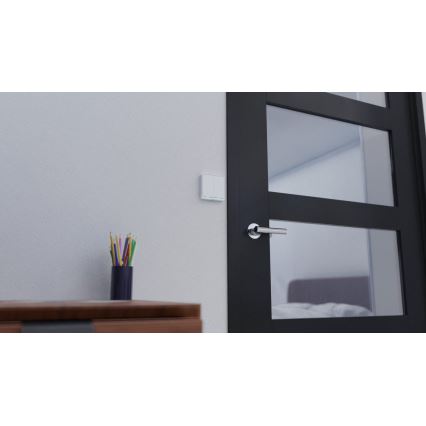 TESLA Smart - Έξυπνος διακόπτης οικιακός 2P 230V Wi-Fi