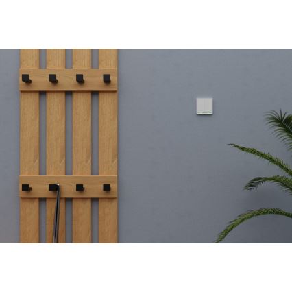 TESLA Smart - Έξυπνος διακόπτης οικιακός 2P 230V Wi-Fi