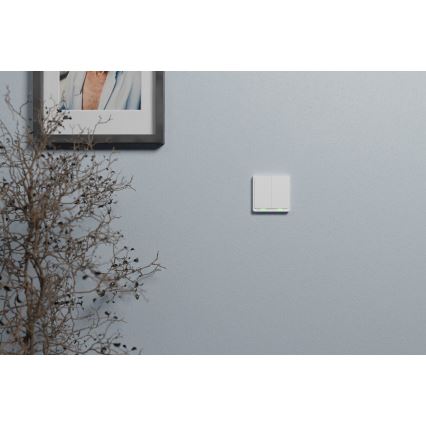 TESLA Smart - Έξυπνος οικιακός διακόπτης 2P 230V Zigbee