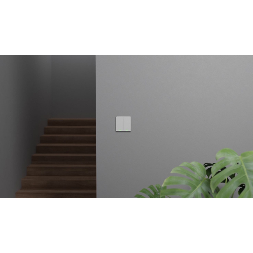 TESLA Smart - Έξυπνος οικιακός διακόπτης 2P 230V Zigbee