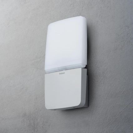 theben - LED Επιτοίχιος προβολέας LED/11W/230V ασημί IP55