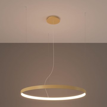 Thoro TH.174 -  Κρεμαστό φωτιστικό οροφής LED RIO LED/50W/230V CRI 90 3000K διάμετρος 78 cm χρυσό