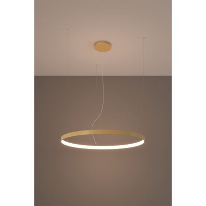 Thoro TH.174 -  Κρεμαστό φωτιστικό οροφής LED RIO LED/50W/230V CRI 90 3000K διάμετρος 78 cm χρυσό