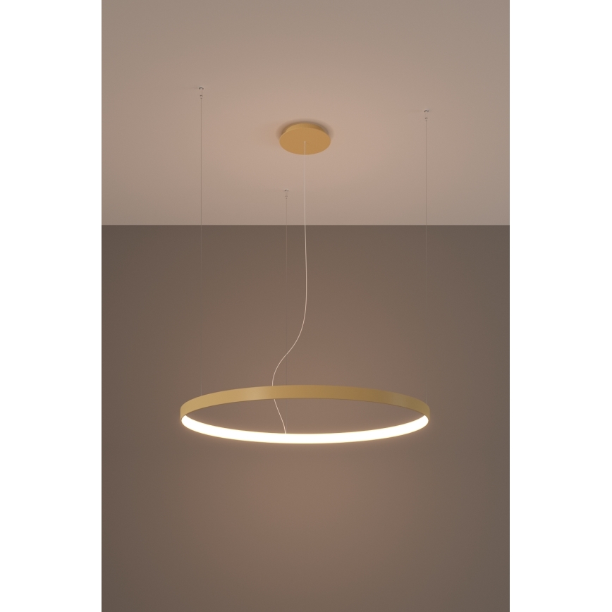 Thoro TH.174 -  Κρεμαστό φωτιστικό οροφής LED RIO LED/50W/230V CRI 90 3000K διάμετρος 78 cm χρυσό