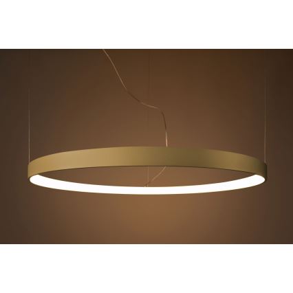 Thoro TH.174 -  Κρεμαστό φωτιστικό οροφής LED RIO LED/50W/230V CRI 90 3000K διάμετρος 78 cm χρυσό