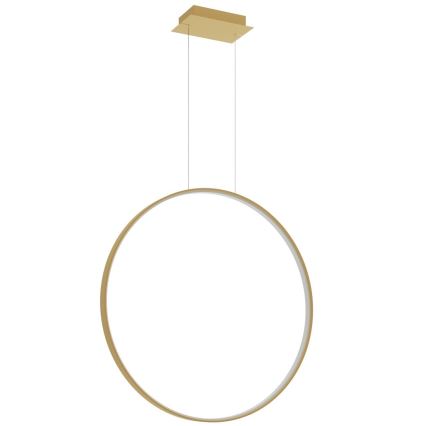 Thoro TH.175 -  Κρεμαστό φωτιστικό οροφής LED RIO LED/50W/230V CRI 90 3000K διάμετρος 78 cm χρυσό