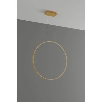 Thoro TH.175 -  Κρεμαστό φωτιστικό οροφής LED RIO LED/50W/230V CRI 90 3000K διάμετρος 78 cm χρυσό