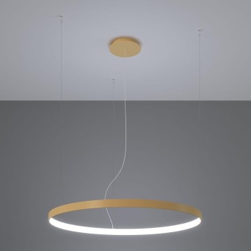 Thoro TH.181 - LED  Κρεμαστό φωτιστικό οροφής RIO LED /50W/230V CRI 95 4000K διάμετρος 78 cm χρυσό