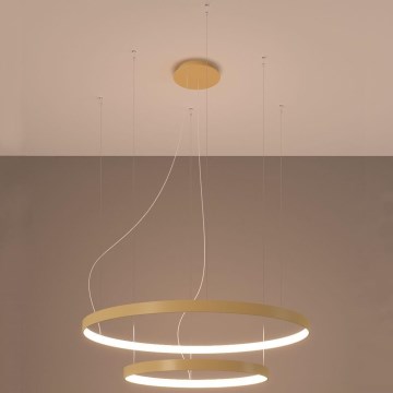 Thoro TH.214 -  Κρεμαστό φωτιστικό οροφής LED RIO LED/80W/230V CRI 90 3000K χρυσό