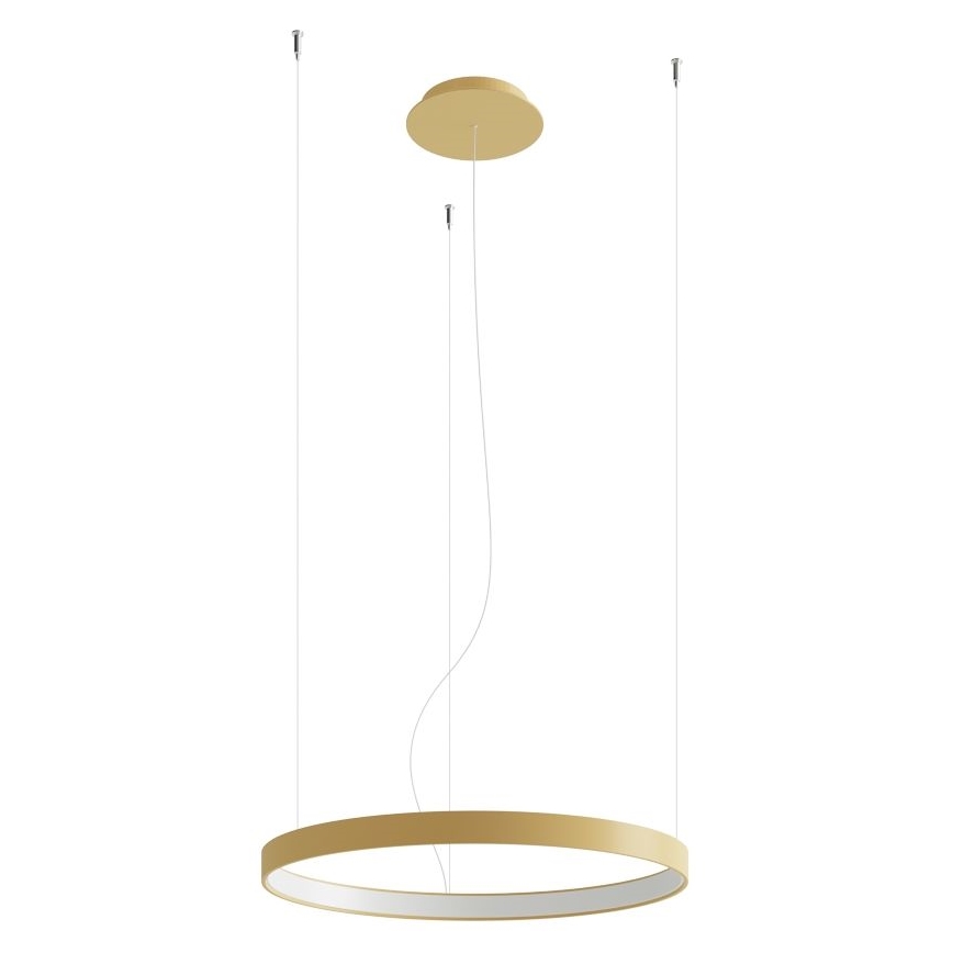 Thoro TH.216 -  Κρεμαστό φωτιστικό οροφής LED RIO LED/30W/230V CRI 90 3000K διάμετρος 55 cm χρυσό