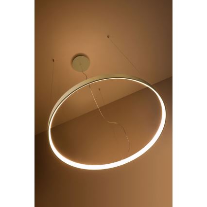 Thoro TH.216 -  Κρεμαστό φωτιστικό οροφής LED RIO LED/30W/230V CRI 90 3000K διάμετρος 55 cm χρυσό