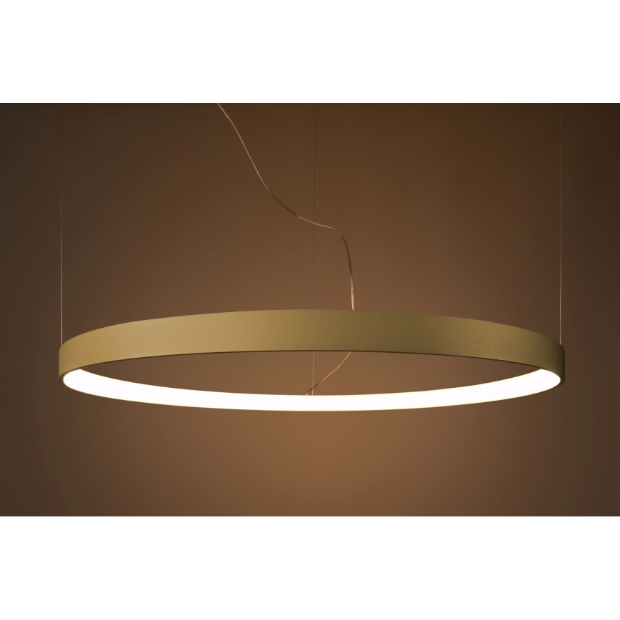 Thoro TH.216 -  Κρεμαστό φωτιστικό οροφής LED RIO LED/30W/230V CRI 90 3000K διάμετρος 55 cm χρυσό