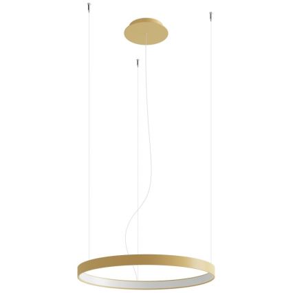 Thoro TH.216 -  Κρεμαστό φωτιστικό οροφής LED RIO LED/30W/230V CRI 90 3000K διάμετρος 55 cm χρυσό