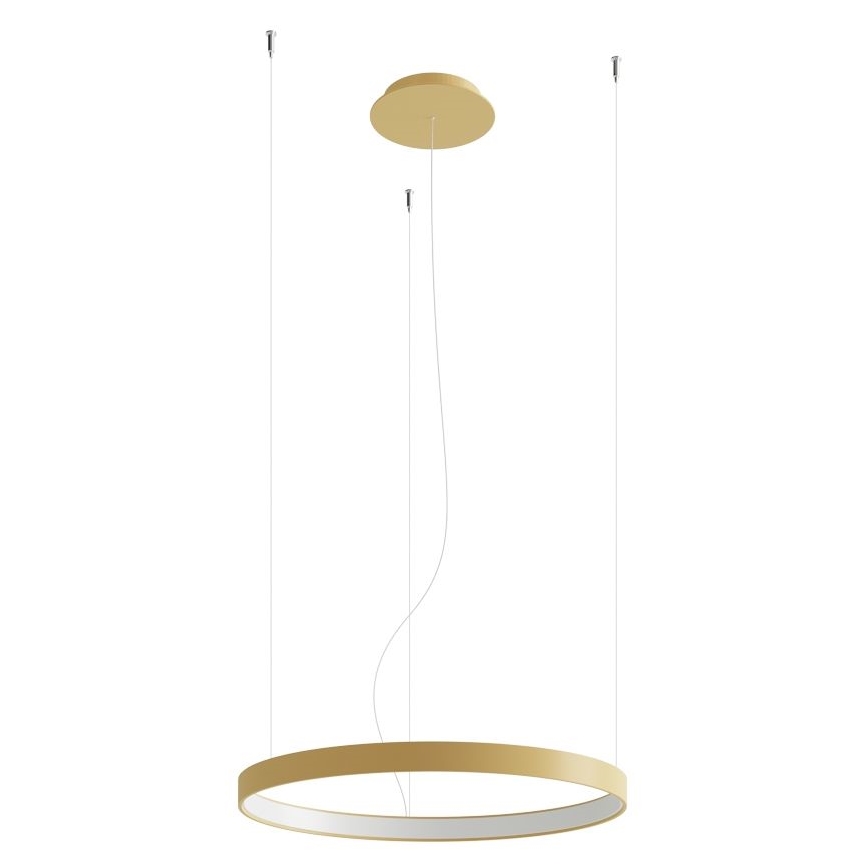 Thoro TH.217 -  Κρεμαστό φωτιστικό οροφής LED RIO LED/30W/230V CRI 95 4000K διάμετρος 55 cm χρυσό