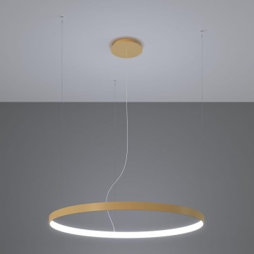 Thoro TH.217 -  Κρεμαστό φωτιστικό οροφής LED RIO LED/30W/230V CRI 95 4000K διάμετρος 55 cm χρυσό
