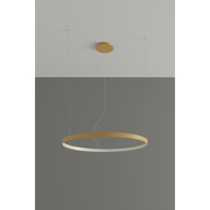 Thoro TH.217 -  Κρεμαστό φωτιστικό οροφής LED RIO LED/30W/230V CRI 95 4000K διάμετρος 55 cm χρυσό