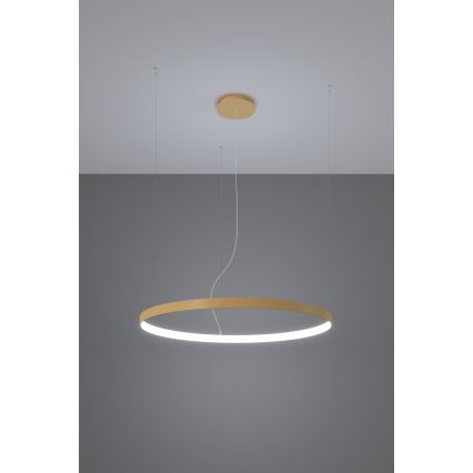 Thoro TH.217 -  Κρεμαστό φωτιστικό οροφής LED RIO LED/30W/230V CRI 95 4000K διάμετρος 55 cm χρυσό