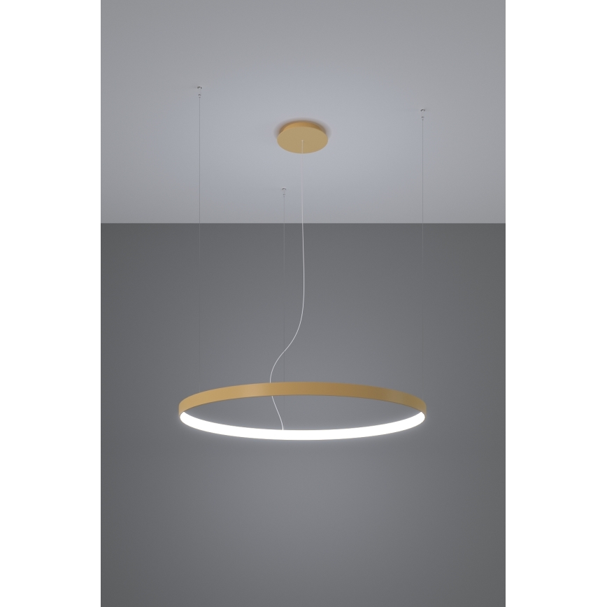 Thoro TH.217 -  Κρεμαστό φωτιστικό οροφής LED RIO LED/30W/230V CRI 95 4000K διάμετρος 55 cm χρυσό